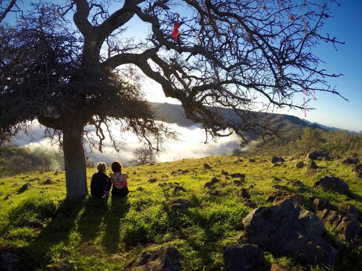 DCIM100GOPROGOPR0409.