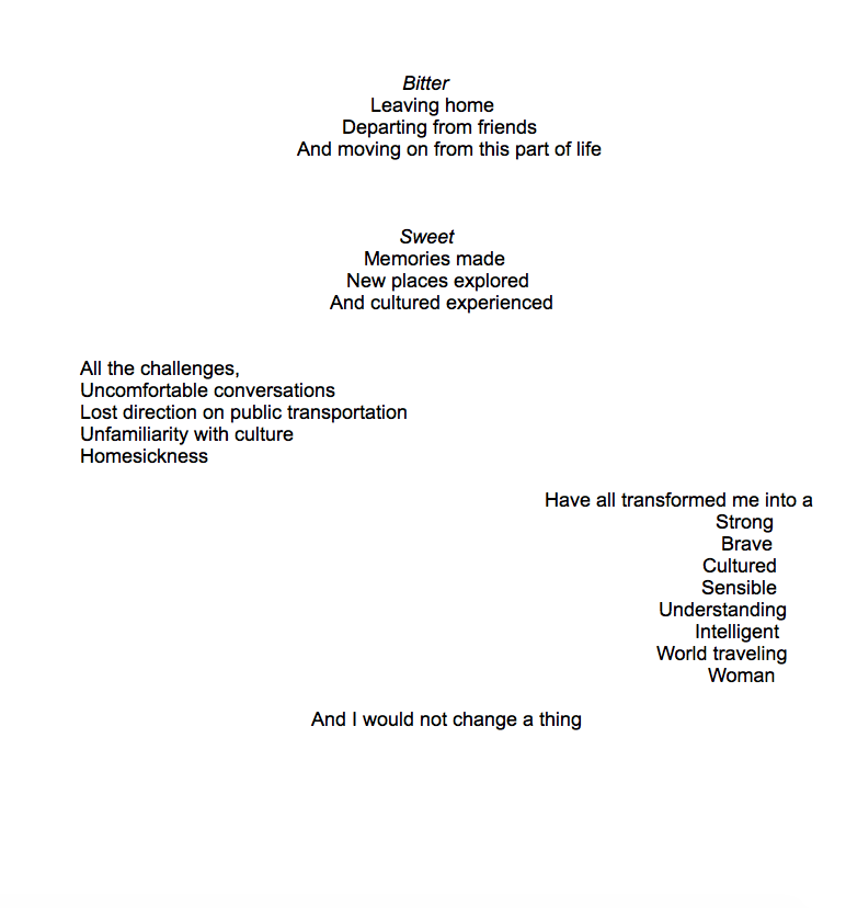 Screen Shot 2017-12-05 at 1.56.39 AM.png